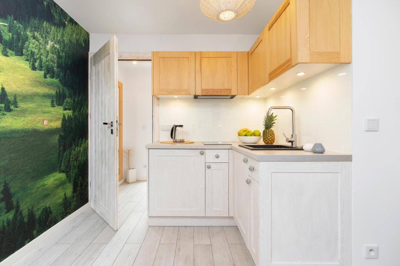 Apartamenty Butikowe & Sauna Zakopane By Renters 외부 사진